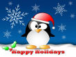 Holiday Greeting Cards, Online Shopping, Online Shopping Specials, Holiday Cards